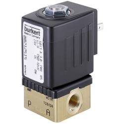 Bürkert přímo řízený ventil 209269 6013 24 V/DC G 1/8 objímka Jmenovitá vzdálenost 2 mm 1 ks