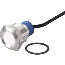 TRU COMPONENTS TC-7495268 LED žárovka bílá 12 V DC/AC