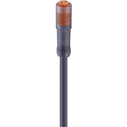 Lumberg Automation RKM 4-07/5 M upravený zástrčkový konektor pro senzory - aktory, 11285-1, piny: 4, 5.00 m, 1 ks