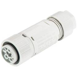 Wieland Electric RST16I5/4S B1 ZT6 GL 46.051.4554.0 kulatý faston, 1 ks