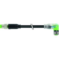 Murrelektronik upravený zástrčkový konektor pro senzory - aktory, 7000-88041-6500150, piny: 3, 1.50 m, 1 ks