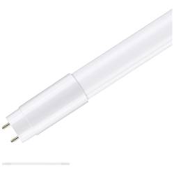 Paulmann LED trubice Energetická třída (EEK2021): F (A - G) G13 T8 11 W denní bílá (Ø x v) 27 mm x 604 mm 1 ks