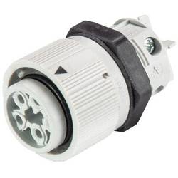 Wieland Electric RST16I5/4S B1 M03 GL 46.051.5054.0 kulatý faston, 1 ks