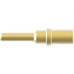 TE Connectivity DTM zástrčkový konektor na kabel 2, DTM04-2P-P006, 1 ks