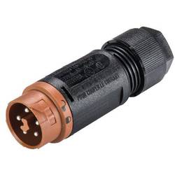 Wieland Electric RST16I5 S S1 ZT6S L BR 46.052.4550.4 kulatý faston, 1 ks