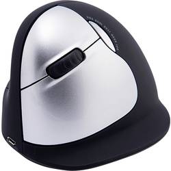 R-GO Tools HE (RGOHELELAWL) ergonomická myš bezdrátový Velikost XS-XXL: L optická černá/stříbrná 5 tlačítko 2500 dpi ergonomická, nabíjecí, USB konektor,