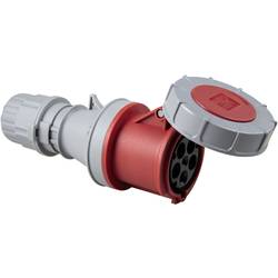 AS Schwabe 400 V 63 A 5-polig 6 h IP67 60428 CEE propojka, 63 A, 5pólová, 400 V, 1 ks