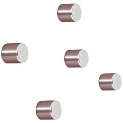 Sigel neodymový magnet C5 Strong (Ø x v) 10 mm x 10 mm cylindr stříbrná 5 ks BA700