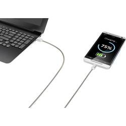 Renkforce USB kabel USB 2.0 USB-A zástrčka, USB-C ® zástrčka 0.50 m stříbrná kabelový plášť z nerezové oceli RF-4888674