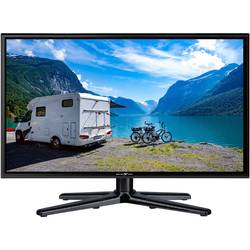 Reflexion LED TV 18.5 palec Energetická třída (EEK2021) F (A - G) CI+, DVB-C, DVB-S2, DVBT2 HD, PVR ready černá (lesklá)