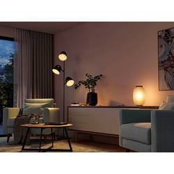 Philips Hue LED žárovka 8719514491168 Energetická třída (EEK2021): F (A - G) Hue White Ambiance Luster E14 5.1 W