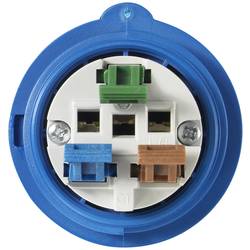 Sygonix SY-5873148 CEE-CARA zástrčka, 16 A, 3pólový, 230 V/AC, 1 ks