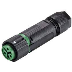 Wieland Electric RST16I3 S B1 ZT4S GN 46.031.4555.7 kulatý faston, 1 ks