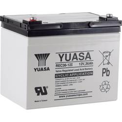 Yuasa REC36-12 YUAREC3612 olověný akumulátor 12 V 36 Ah olověný se skelným rounem (š x v x h) 196 x 169 x 130 mm šroubované M5 nepatrné vybíjení, nenáročné na