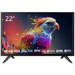 Dyon Enter 22 Pro X2 LED TV 55 cm 22 palec Energetická třída (EEK2021) E (A - G) CI+, DVB-C, DVB-S2, DVB-T2, Full HD černá