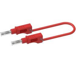 Electro PJP 2217/600V-CD1-100R měřicí kabel [banánková zástrčka - banánková zástrčka] 1.00 m, červená, 1 ks