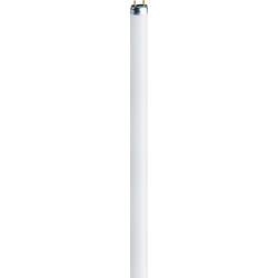 OSRAM zářivková trubice Energetická třída (EEK2021): G (A - G) G5 13 W studená bílá 840 zářivkový tvar (Ø x d) 16 mm x 517 mm 1 ks
