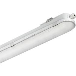 Philips Lighting CoreLine WT120C LED světlo do vlhkých prostor LED pevně vestavěné LED 41 W neutrální bílá šedá