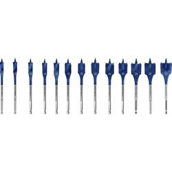 Bosch Accessories 2608900336 sada frézovacích vrtáků do dřeva 10 mm, 12 mm, 13 mm, 14 mm, 16 mm, 18 mm, 20 mm, 22 mm, 24 mm, 25 mm, 28 mm, 30 mm, 32 mm Celková
