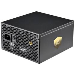 Sharkoon Rebel P30 Gold PC síťový zdroj 1000 W 80 PLUS® Gold