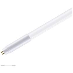 Paulmann LED trubice Energetická třída (EEK2021): F (A - G) G5 7.5 W teplá bílá (Ø x d) 18 mm x 301 mm 1 ks