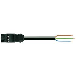 WAGO 771-9993/206-301 síťový připojovací kabel síťová zástrčka - kabel s otevřenými konci Počet kontaktů: 3 černá 3 m 1 ks