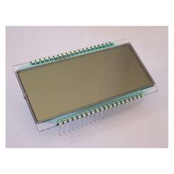 Display Elektronik LCD displej DE131RU-30/8.4