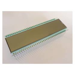 Display Elektronik LCD displej DE125RS-20/7.5