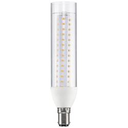 Paulmann 28890 LED Energetická třída (EEK2021) E (A - G) B15d zářivkový tvar 9.5 W = 75 W teplá bílá (Ø x v) 36 mm x 165 mm 1 ks