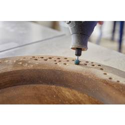 Dremel 26159951DM Raspelfräser nerezová ocel rašple 8.2 mm 1 ks