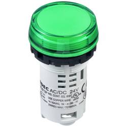 Idec signalizační světlo bílá/zelená 24 V/AC, 24 V/DC 1 ks