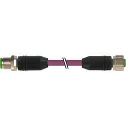 Murrelektronik 7000-40531-8030500 upravený zástrčkový konektor pro senzory - aktory, 7000-40531-8030500, piny: 5, 5.00 m, 1 ks
