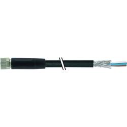 Murrelektronik neupravený zástrčkový konektor pro senzory - aktory, 7000-08761-6411000, piny: 4, 10.00 m, 1 ks