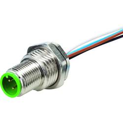 Murrelektronik neupravený zástrčkový konektor pro senzory - aktory, 7000-13525-9720020, piny: 5, 0.20 m, 1 ks