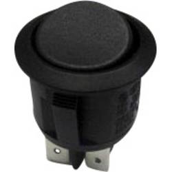 TRU COMPONENTS 1587659 kolébkový spínač TC-R13-244C-02 250 V/AC 10 A 1x zap/zap s aretací 1 ks