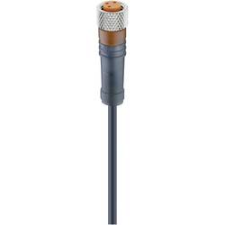 Lumberg Automation RKMV 3-224/5 M upravený zástrčkový konektor pro senzory - aktory, 12955-1, piny: 3, 5.00 m, 1 ks