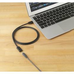 Renkforce USB kabel USB 3.2 Gen2 USB-C ® zástrčka, USB-C ® zásuvka 2.00 m černá PVC plášť RF-4755222
