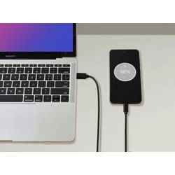 Renkforce USB kabel USB 3.2 Gen2 USB-C ® zástrčka, USB-A zástrčka 1.00 m černá kompletní stínění RF-5720404