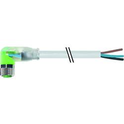 Murrelektronik neupravený zástrčkový konektor pro senzory - aktory, 7000-08121-2100500, piny: 3, 5.00 m, 1 ks