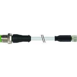 Murrelektronik upravený zástrčkový konektor pro senzory - aktory, 7000-40561-2300150, piny: 3, 1.50 m, 1 ks