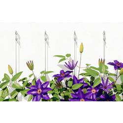 Fischer Fischer Šroub s okem fischer GS 8 x 100 1 sada 1 sada