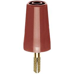 Neutrik NE8FDP-R-B, NE8FDP-R-B, RJ45, CAT 5e, 1 ks