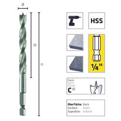 Alpen 0062200300100 spirálový vrták do dřeva 3 mm Celková délka 74 mm vnější čtyřhran 1/4 (6,3 mm) 1 ks