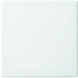 Busch-Jaeger kryt vypínač, přepínač, křížový spínač, tlačítko Busch-balance SI alpská bílá 2506-914 1 ks