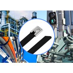 TRU COMPONENTS TC-12647608 TRU COMPONENTS TC-12647608 Ocelové stahovací pásky 200 mm 7.9 mm AISI 304 s povrchovou úpravou 100 ks 200 mm 7.9 mm AISI 304 s