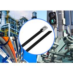 TRU COMPONENTS TC-12656544 TRU COMPONENTS TC-12656544 Ocelové stahovací pásky 290 mm 4.6 mm AISI 304 s povrchovou úpravou 100 ks 290 mm 4.6 mm AISI 304 s