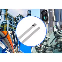 TRU COMPONENTS TC-12656580 TRU COMPONENTS TC-12656580 Ocelové stahovací pásky 520 mm 7.9 mm AISI 316 100 ks 520 mm 7.9 mm AISI 316 100 ks