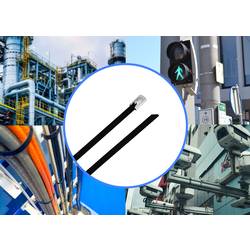 TRU COMPONENTS TC-12647600 TRU COMPONENTS TC-12647600 Ocelové stahovací pásky 680 mm 4.6 mm AISI 304 s povrchovou úpravou 100 ks 680 mm 4.6 mm AISI 304 s