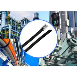 TRU COMPONENTS TC-12656596 TRU COMPONENTS TC-12656596 Ocelové stahovací pásky 290 mm 4.6 mm AISI 316 s povrchovou úpravou 100 ks 290 mm 4.6 mm AISI 316 s