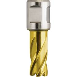 Fein HSS-Dura 25 63133290067 jádrový vrták 29 mm 1 ks